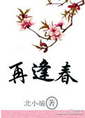 再逢春小说封面
