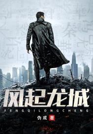 风起龙城小说封面