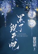 累了，毁灭吧小说封面