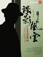 谍影风云TXT小说封面