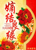 嫡结良缘小说封面
