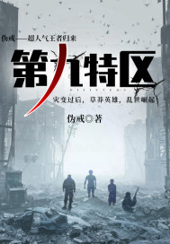 第九特区小说封面
