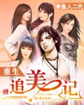 重生追美记小说封面