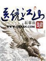 医统江山小说封面