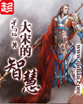 大宋的智慧小说封面
