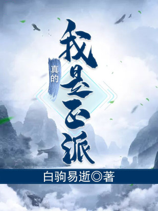我真的是正派(从山寨NPC到大BOSS)小说封面