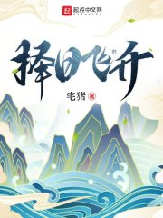 择日飞升小说封面
