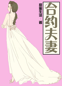 合约夫妻小说封面