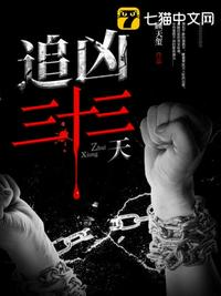 追凶三十三天小说封面