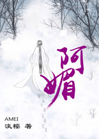 阿媚小说封面