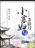 小寡妇与杀猪刀小说封面