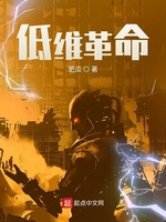 低维革命小说封面