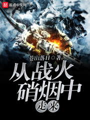 从战火硝烟中走来小说封面