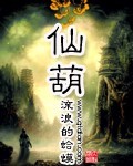 仙葫小说封面