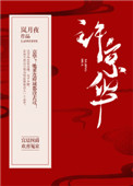 京华郡主小说封面
