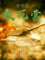 亮剑之敢死营小说封面