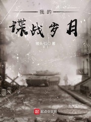 我的谍战岁月小说封面