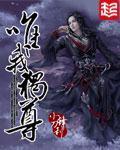 唯我独尊小说封面