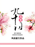 九十日春光小说封面