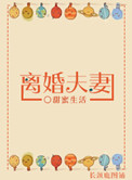 离婚夫妻小说封面