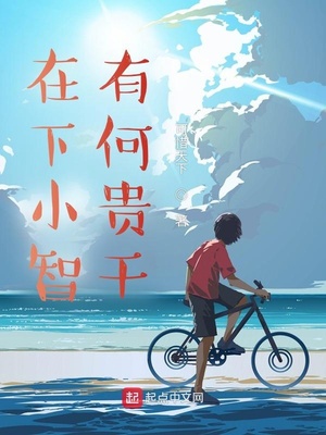 在下小智，有何贵干小说封面