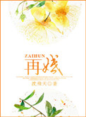 再婚小说封面