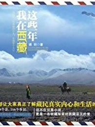 我在西藏这些年小说封面