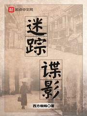 迷踪谍影小说封面