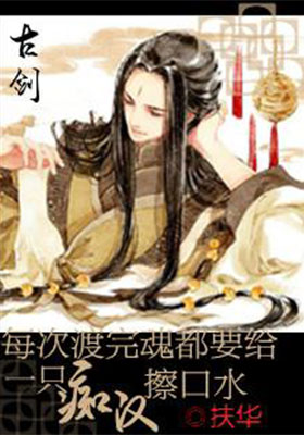 为师妇小说封面