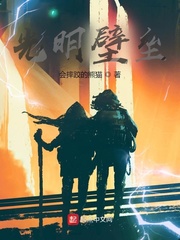 光明壁垒小说封面