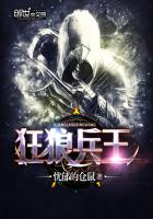 狂狼兵王小说封面
