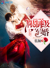 限制级军婚小说封面