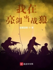 我在亮剑当战狼小说封面