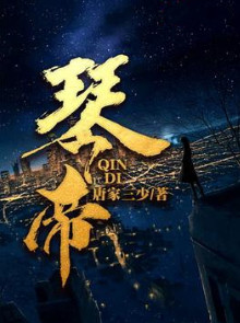 琴帝小说封面