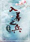 入幕之兵小说封面