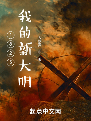 1825我的新大明小说小说封面
