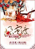 良宵渡小说封面