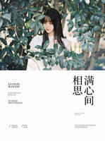 相思满心间小说封面