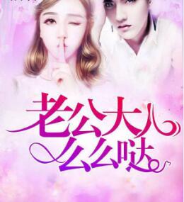 老公大人么么哒小说封面