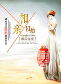 婚后宠爱之相亲以后小说封面