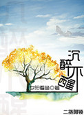 沉醉不醒小说封面