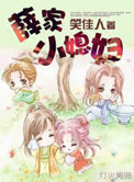 薛家小媳妇小说封面