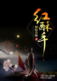 红酥手小说封面