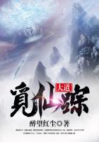 大道觅仙踪小说封面