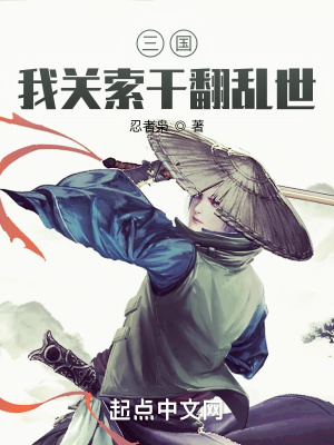 三国：我关索干翻乱世小说封面