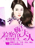 嗨，检察官夫人小说封面