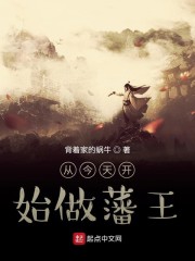 从今天开始做藩王小说封面