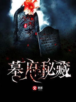 墓府秘藏小说封面