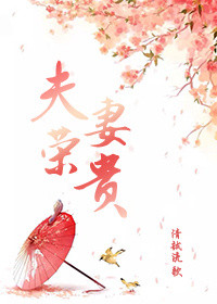 夫荣妻贵小说封面