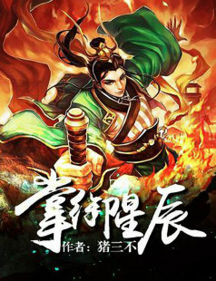 掌御星辰小说封面